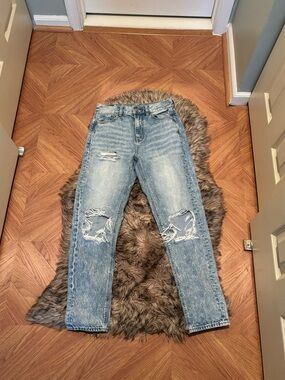 American Eagle Outfitters Light Blue Distressed Straight Leg Jeans